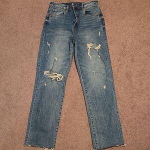 Blank NYC Distressed Blue Straight Jeans